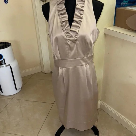 NWT Just Taylor Elegant Sleeveless Ruffle Neck Dress - beige size 12 - Picture 8 of 8